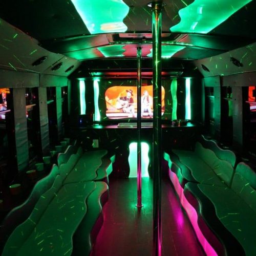 Houston christmas light tours